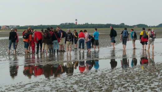 2011 0615 wattenmeer kl 2011 0615 wattenmeer kl