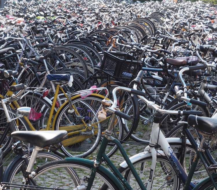 olympus digital camera olympus digital camera