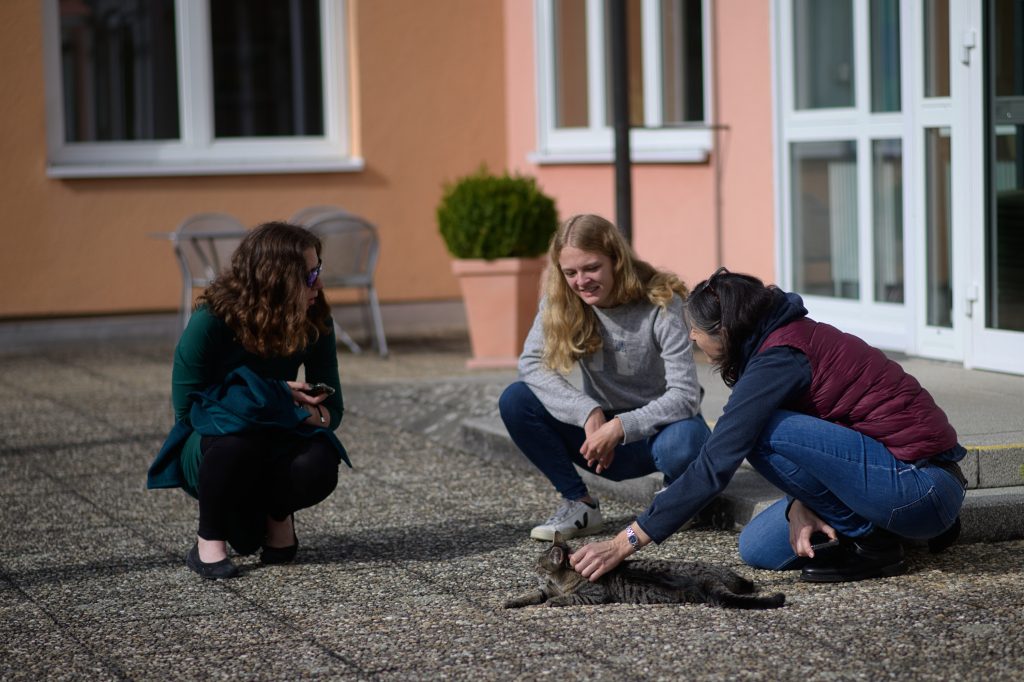 2023 z6k 67161 2023 z6k 67161